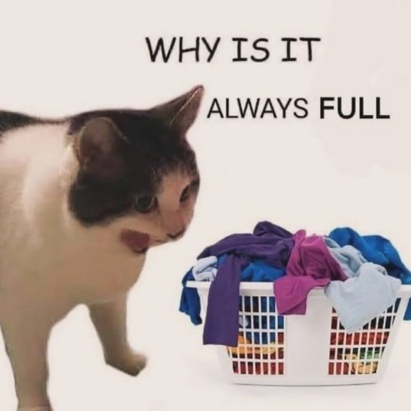 Meet your Posher🌌🌲 - Picture 4 of 16